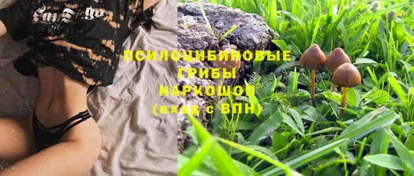 таблы Ладушкин